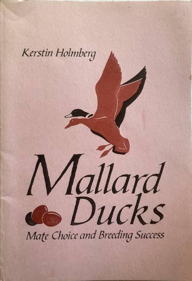 Mallard ducks : mate choice and breeding success