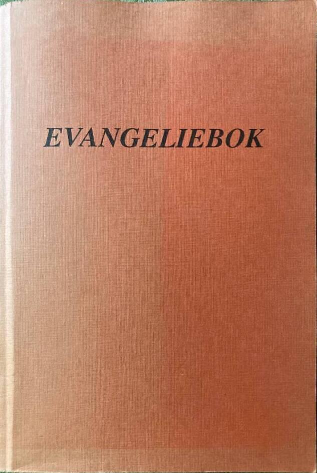 Evangeliebok : de fyra evangelierna i provöversättning