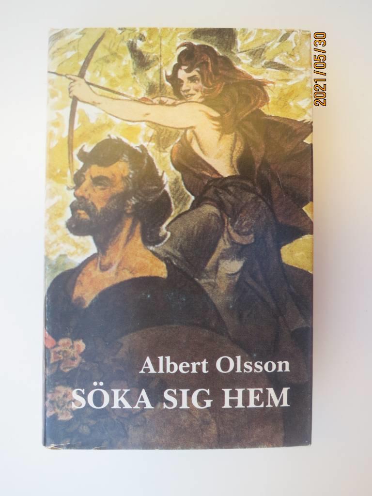 S&ouml;ka sig hem - roman om vikingar
