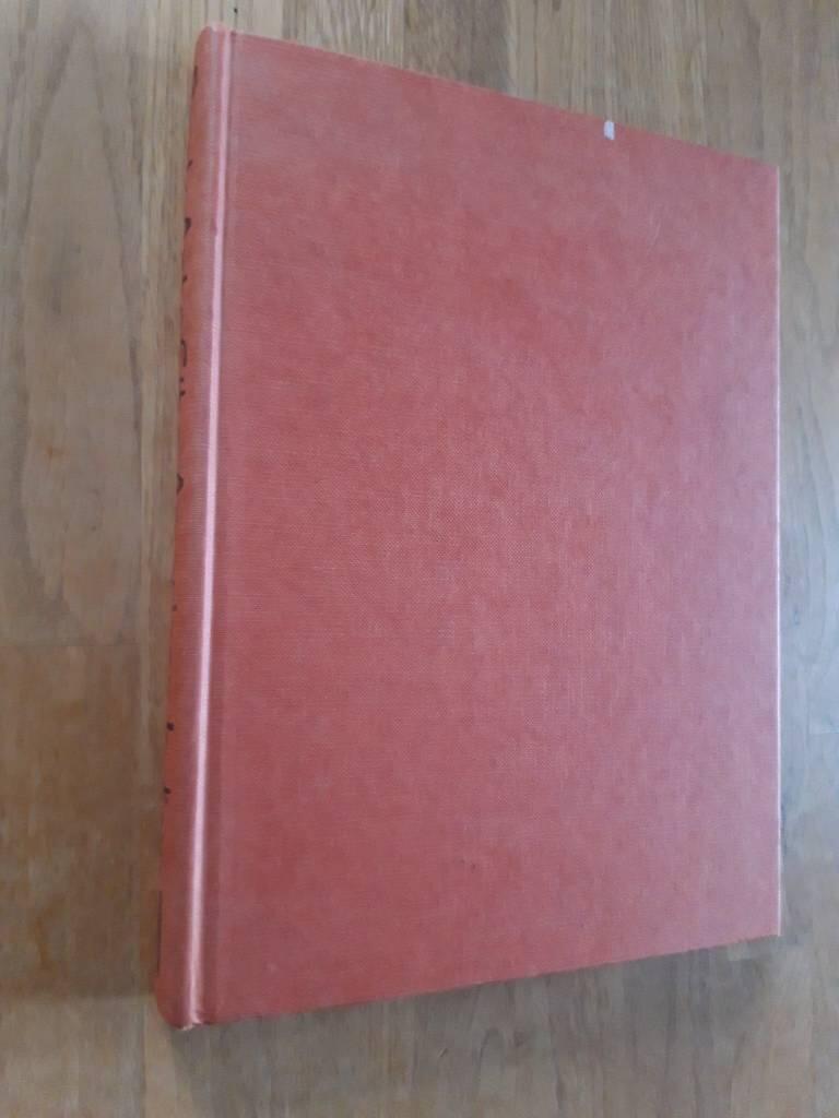 Rock art of the American Indian