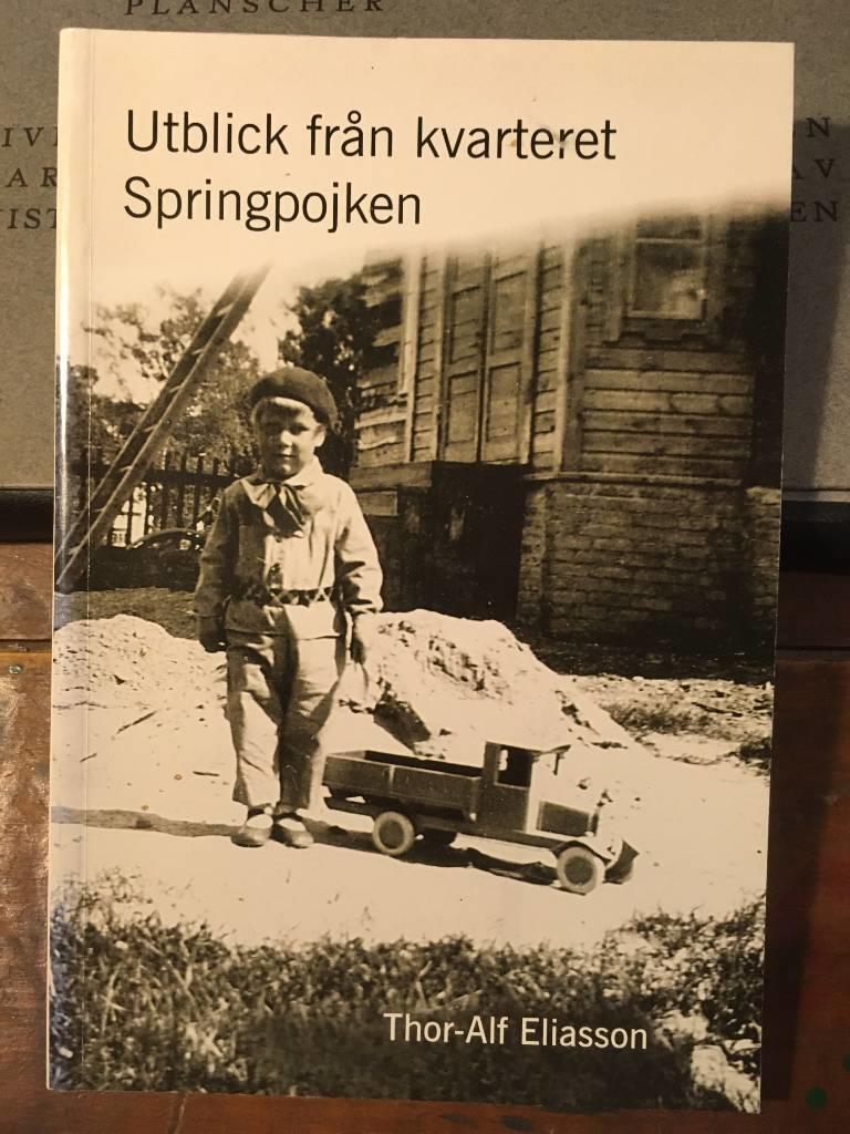 Utblick fr&aring;n kvarteret springpojken
