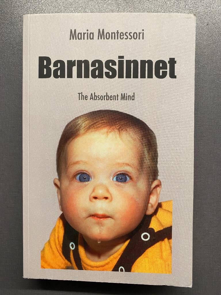 Barnasinnet : the absorbent mind