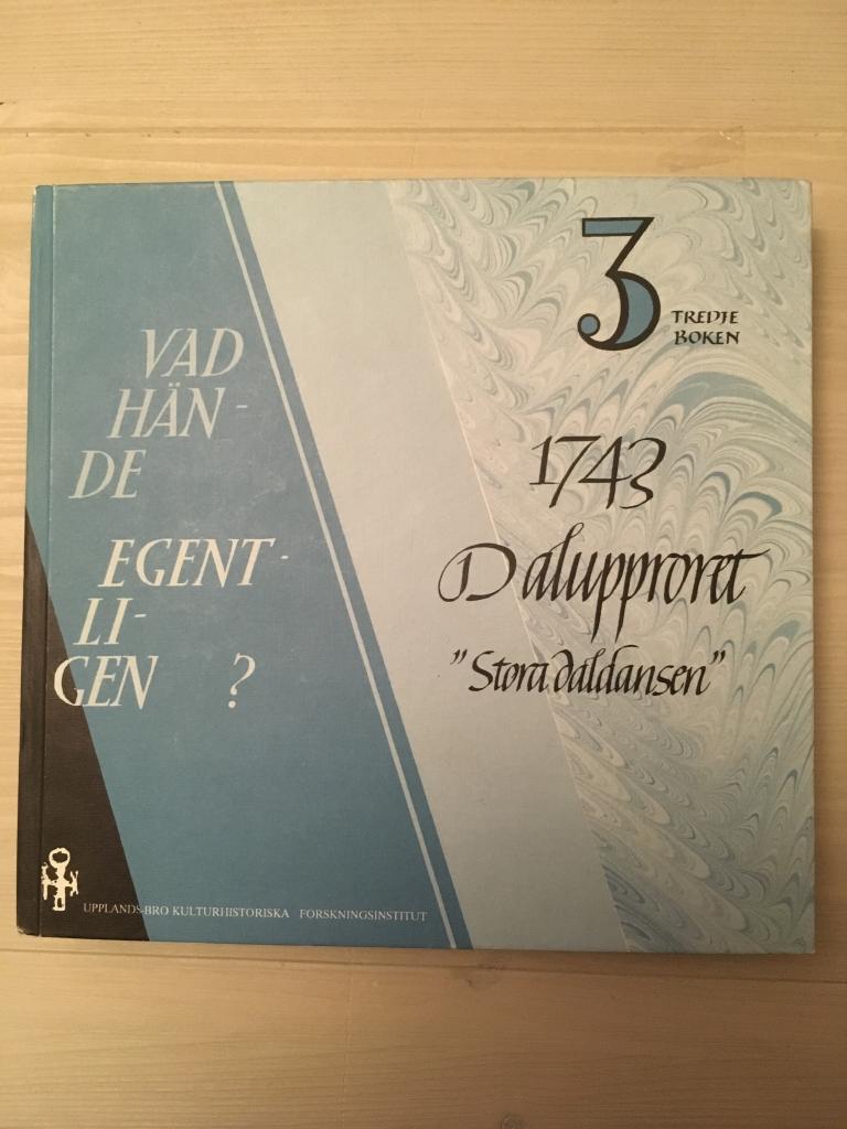 Vad h&auml;nde egentligen