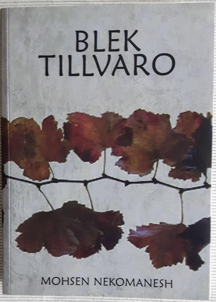 Blek tillvaro