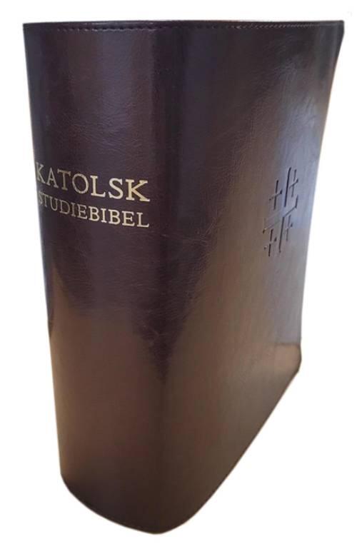 Katolsk studiebibel