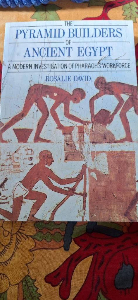 The pyramid builders of ancient Egypt - a modern investigation of Pharaoh's workforce