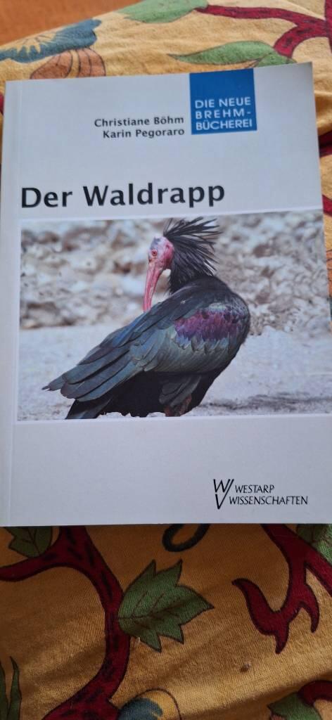Der Waldrapp - Geronticus eremita : ein Glatzkopf in Turbulenzen