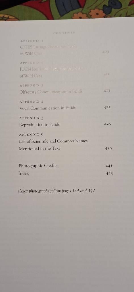 Wild cats of the world