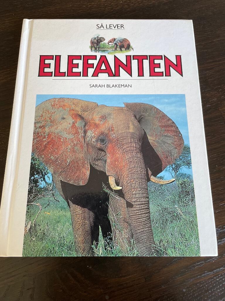 S&aring; lever elefanten