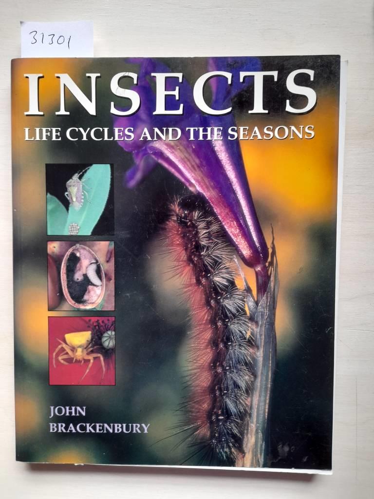 Insects - life cycles and the seasons