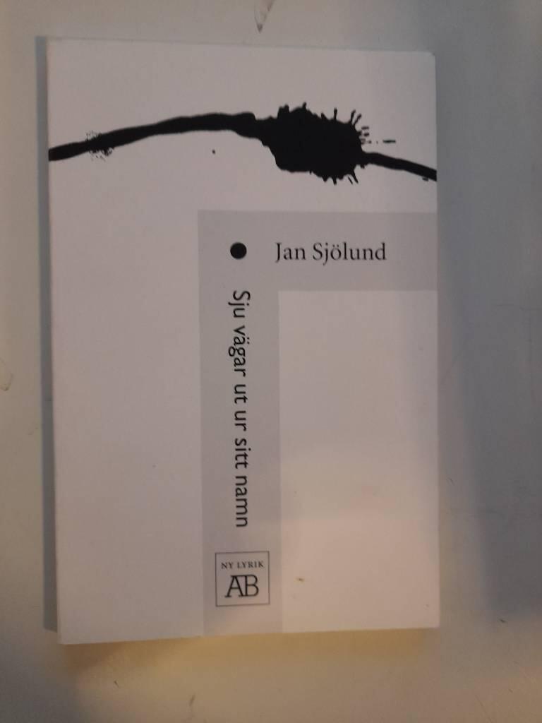 Sju v&auml;gar ut ur sitt namn