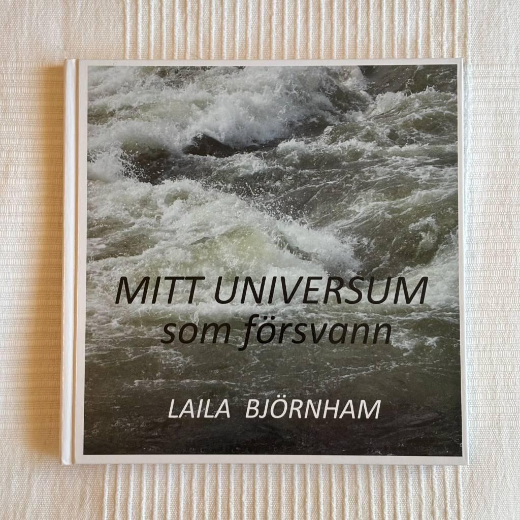 Mitt universum som f&ouml;rsvann