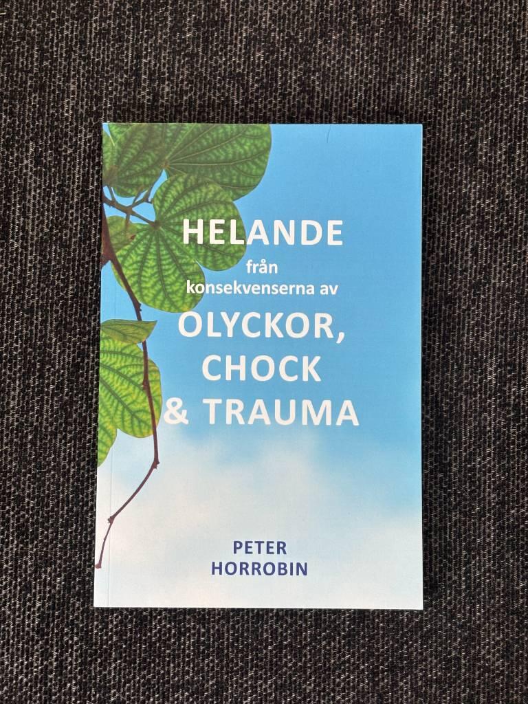 Helande fr&aring;n konsekvenserna av olyckor, chock & trauma