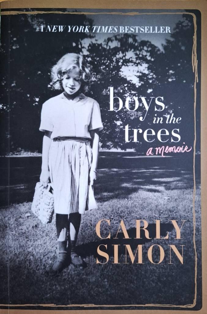Boys in the Trees: A Memoir