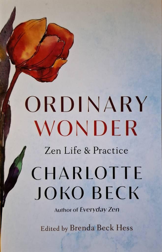 Ordinary wonder