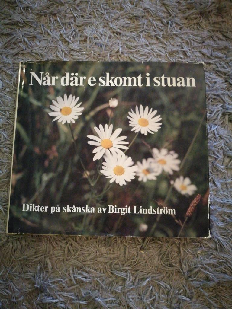 N&aring;r d&auml;r e skomt i stuan : 30 v&auml;rsor &aring; traj pasjasjor : dikter p&aring; sk&aring;nska