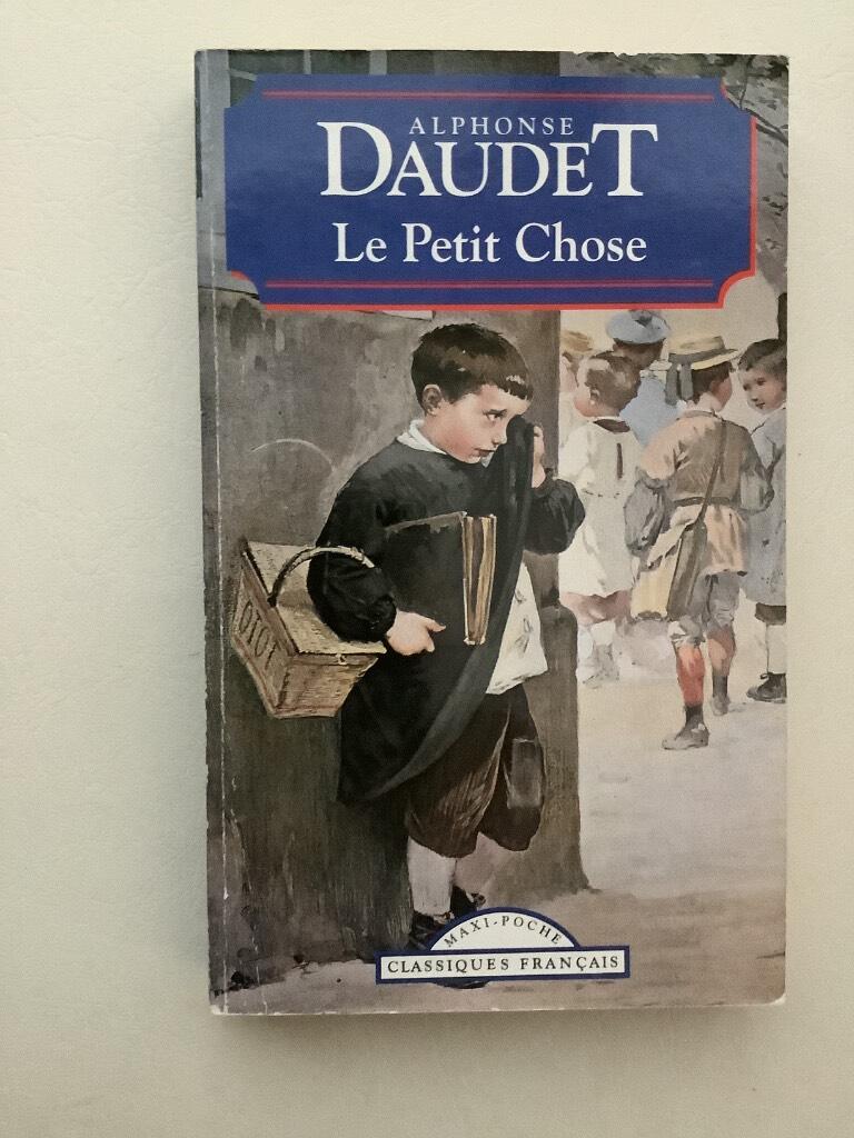 Le petit chose - histoire d'un enfant