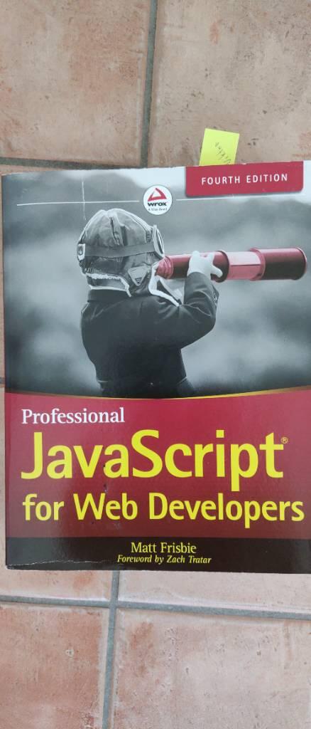Professional JavaScript for web developers