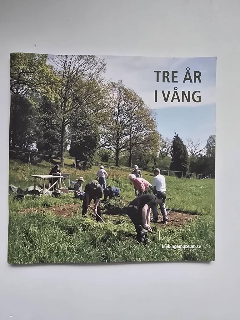 Tre &aring;r i V&aring;ng