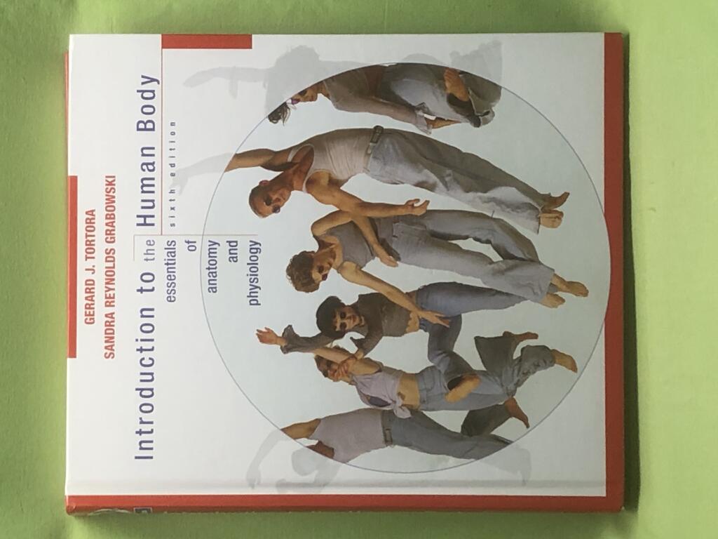 Introduction to the human body : the essentials of anatomy and physiology