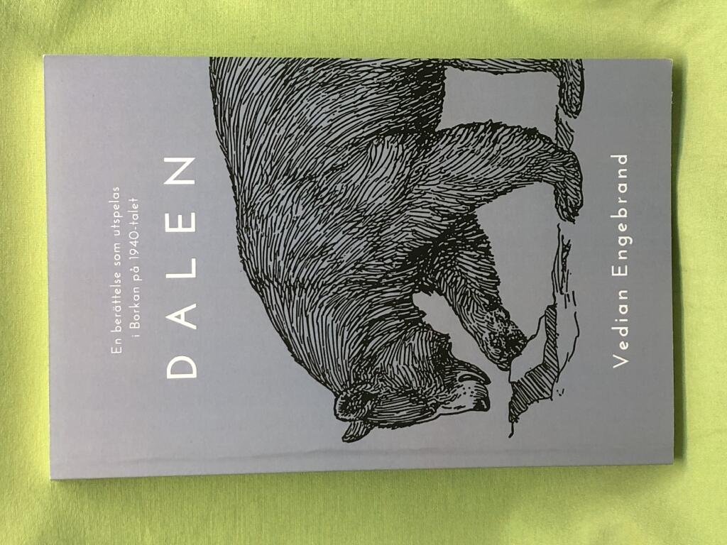 Dalen - en ber&auml;ttelse som utspelas i Borkan p&aring; 1940-talet