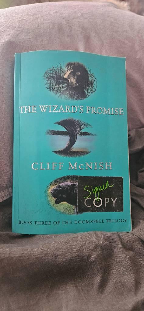 The wizard's promise