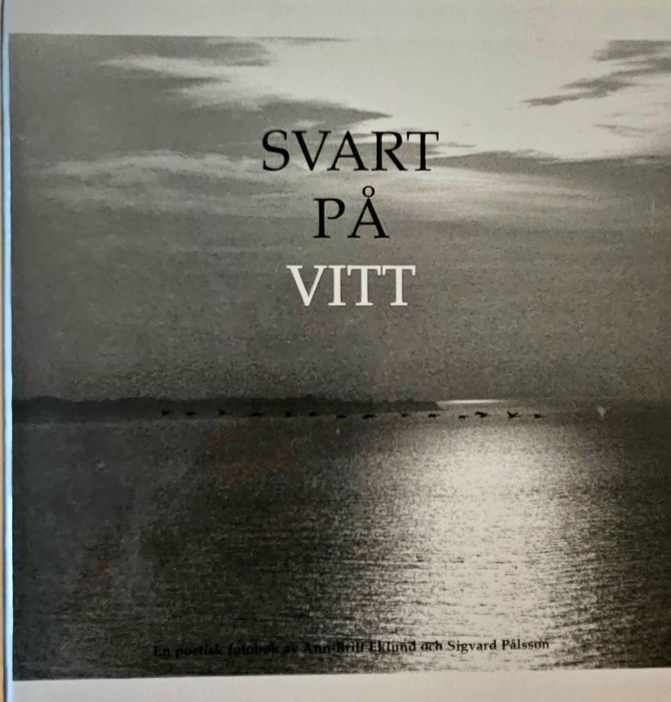 Svart p&aring; vitt - en poetisk fotobok