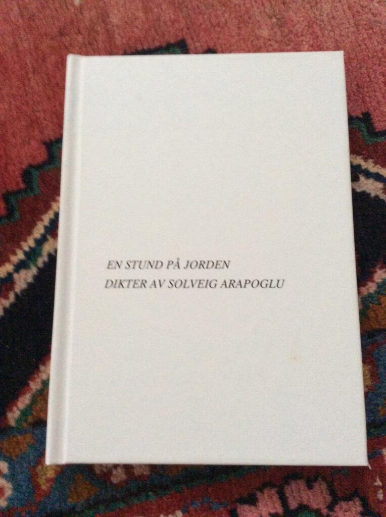 En stund p&aring; jorden