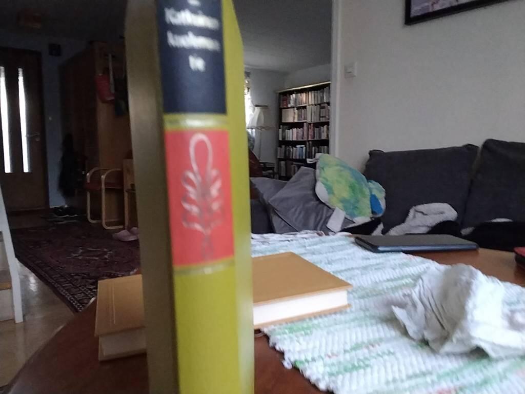 Katkuinen kuoleman tie