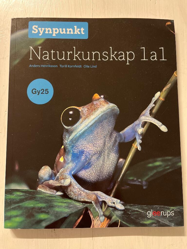 Synpunkt