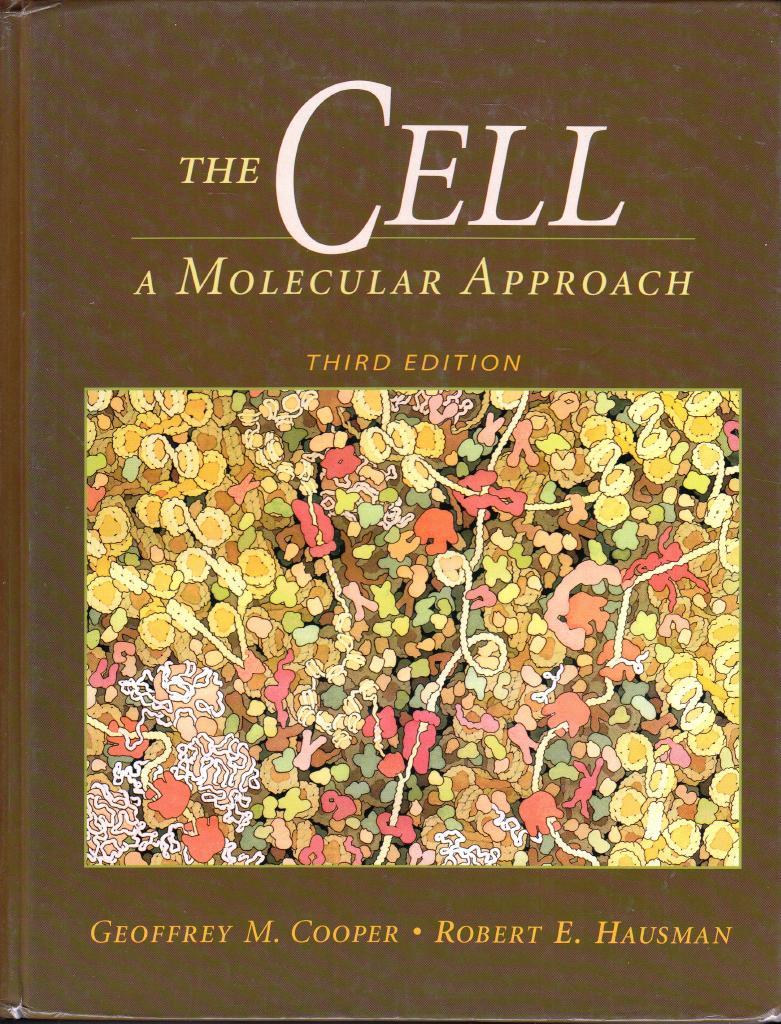 The cell : a molecular approach