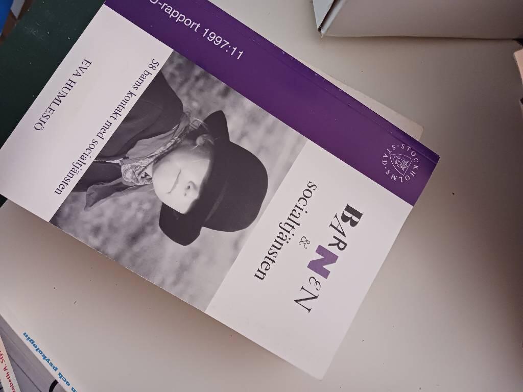 Barnen och socialtj&auml;nsten : 58 barns kontakt med socialtj&auml;nsten