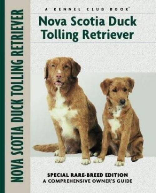 Nova Scotia duck tolling retriever
