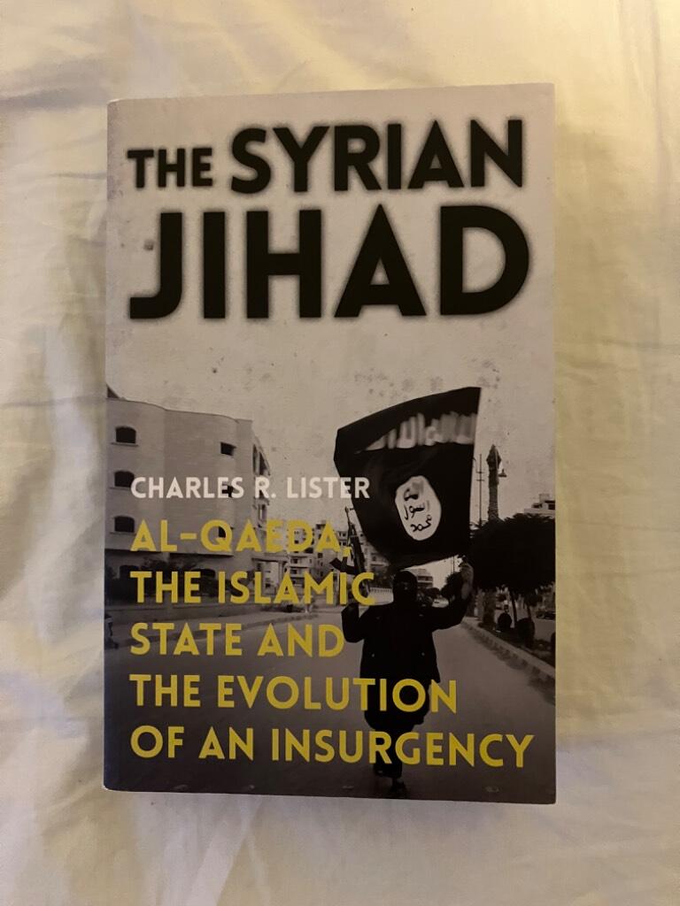 The Syrian jihad - Al-Qaeda, the Islamic State and the evolution of an insurgency