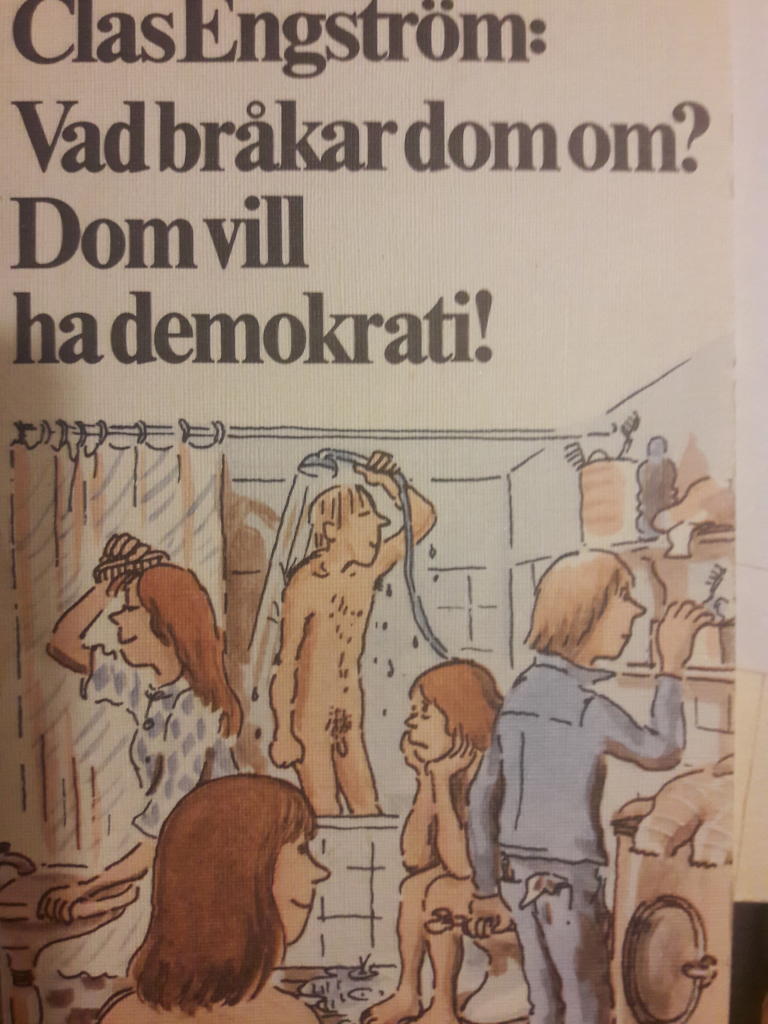 Vad br&aring;kar dom om? Dom vill ha demokrati! : tre pj&auml;ser och fem roller