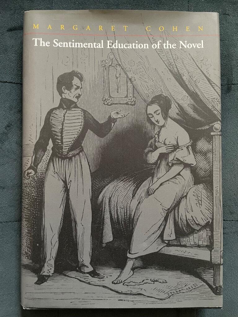 The sentimental education of the novel