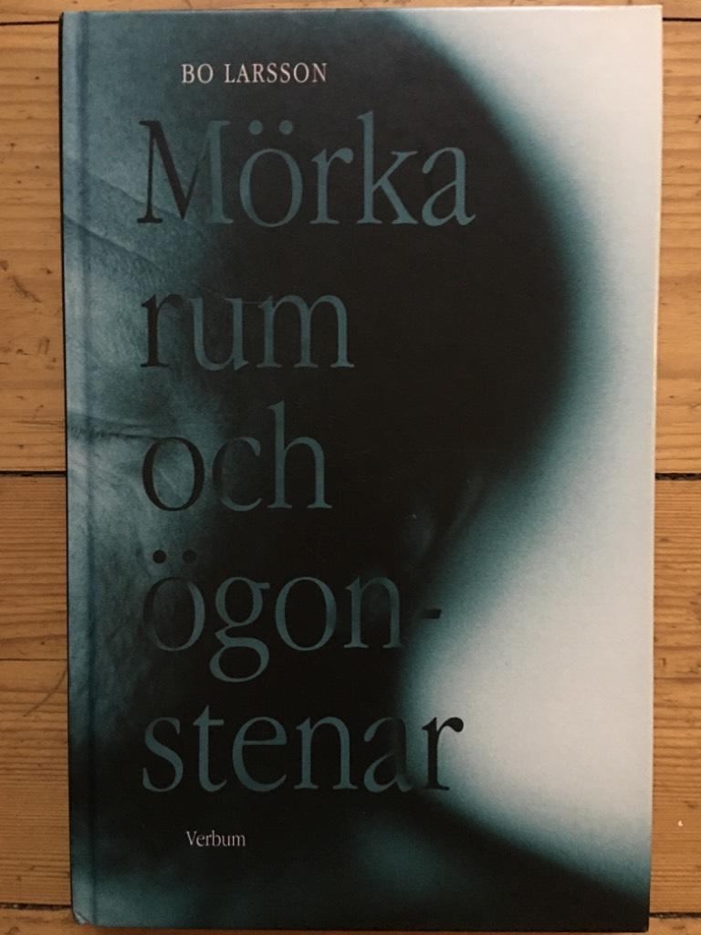 M&ouml;rka rum och &ouml;gonstenar : en ber&auml;ttelse