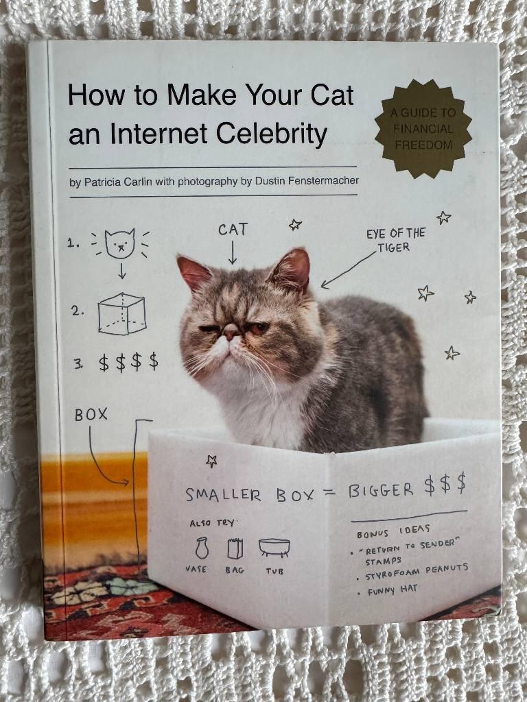 How to make your cat an internet celebrity