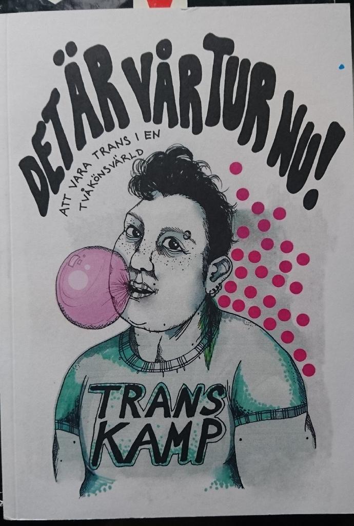 Det &auml;r v&aring;r tur nu! : att vara trans i en tv&aring;k&ouml;nsv&auml;rld