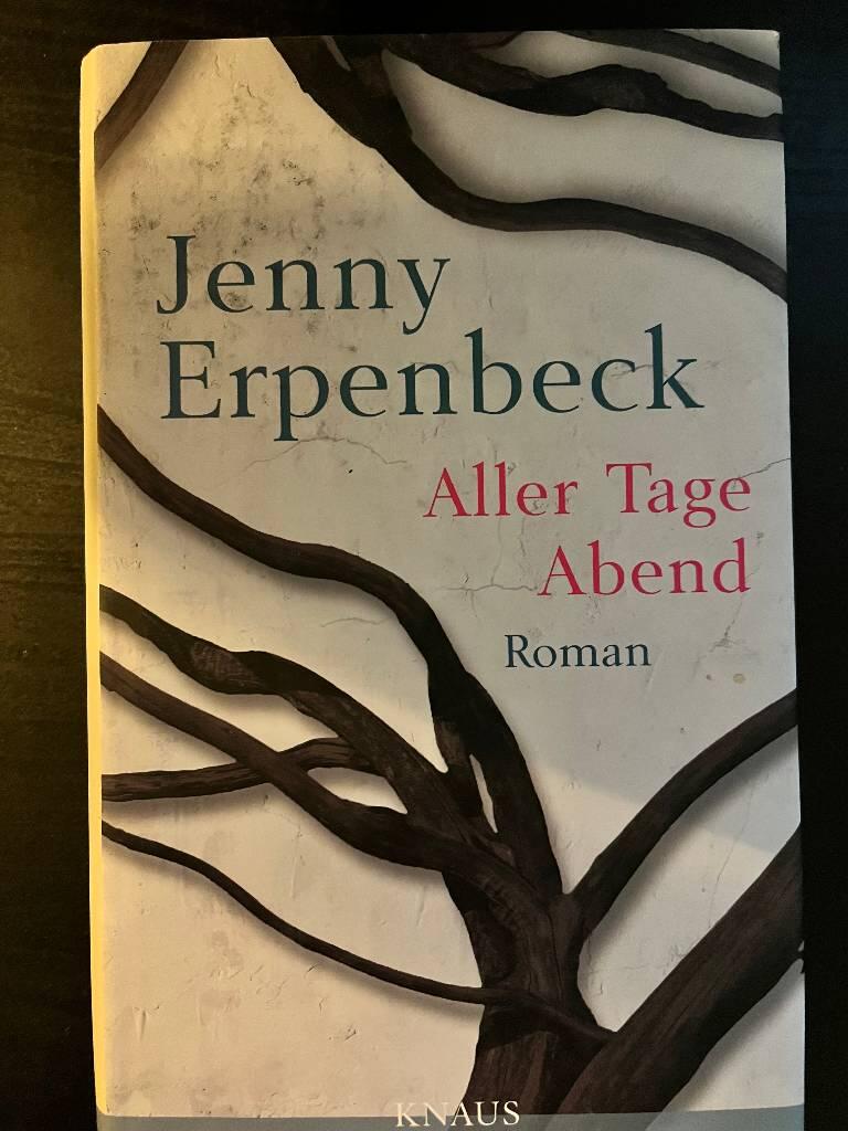 Aller Tage Abend - Roman