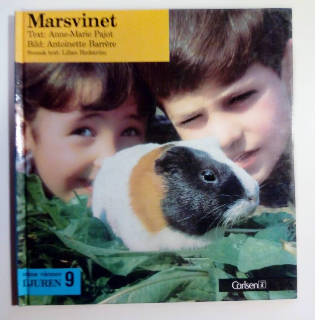 Marsvinet