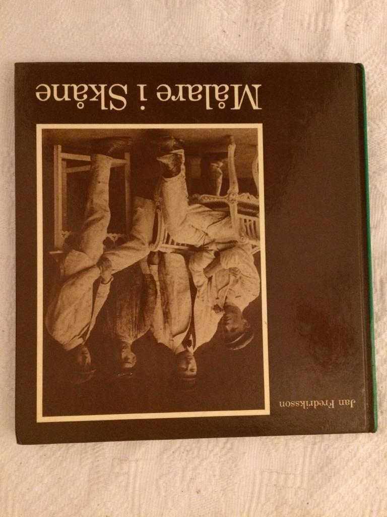 M&aring;lare i Sk&aring;ne