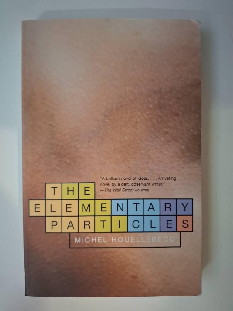 The elementary particles