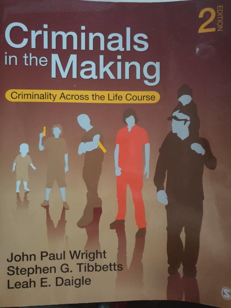 Criminals in the making : criminality across the life course
