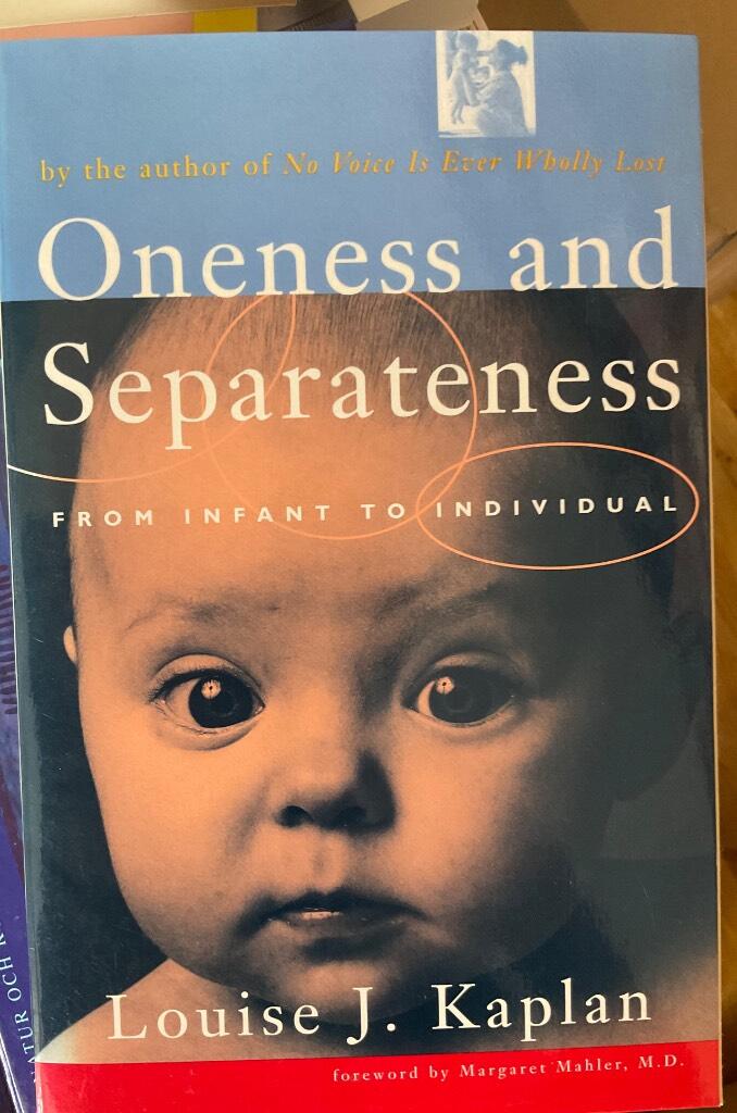 Oneness and separateness : from infant to individual