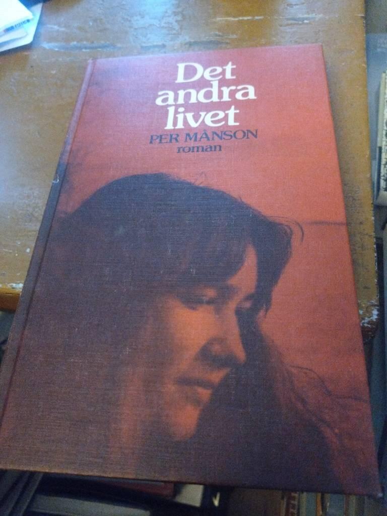 Det andra livet - roman