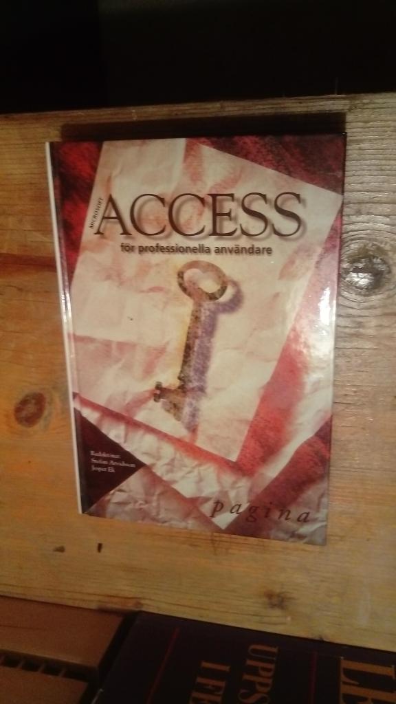 MS Access f&ouml;r professionella anv&auml;ndare