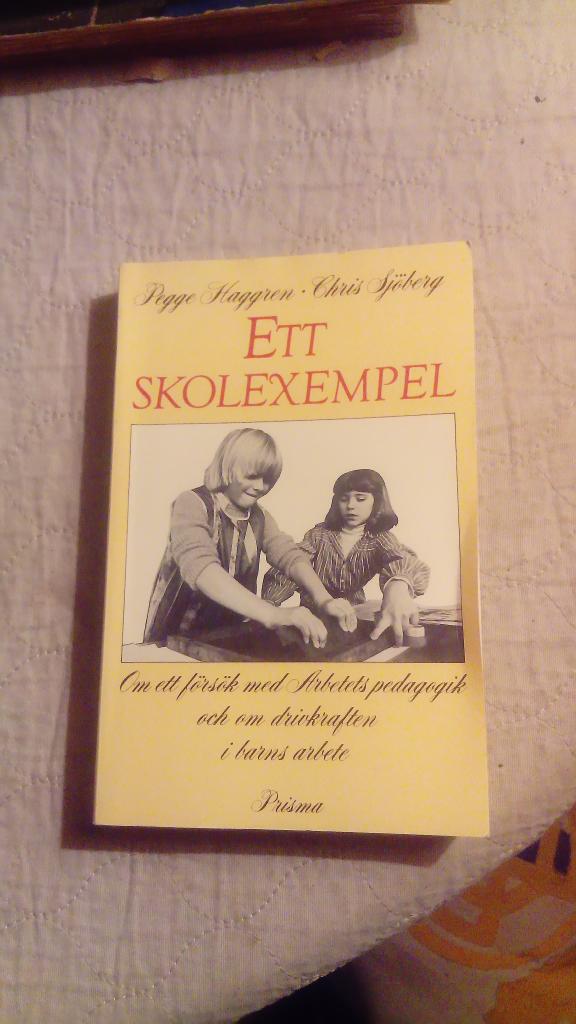 Ett skolexempel : om ett f&ouml;rs&ouml;k med arbetets pedagogik och om drivkraften i barns arbete