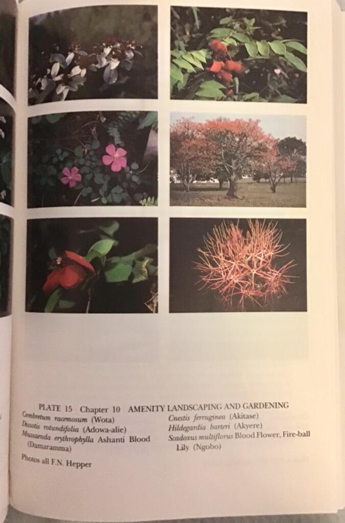 Useful plants of Ghana - West African uses of wild and cultivated plants