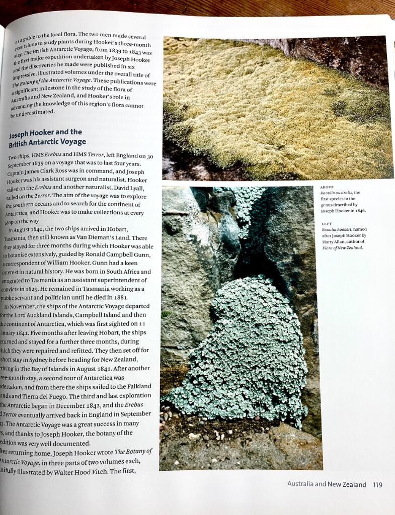Alpines - from mountain to garden